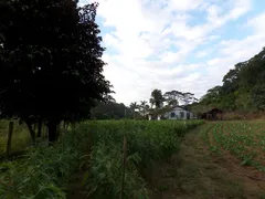 Fazenda / Sítio / Chácara com 2 Quartos à venda, 1000000m² no Pessegueiros, Teresópolis - Foto 36