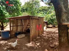 Fazenda / Sítio / Chácara com 2 Quartos à venda, 200m² no Campo Largo, Salto de Pirapora - Foto 17