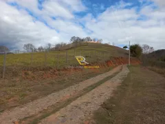 Terreno / Lote / Condomínio à venda, 5000m² no Centro, Paraíba do Sul - Foto 6