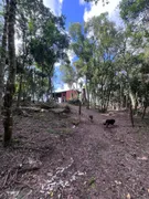 Fazenda / Sítio / Chácara com 2 Quartos à venda, 50m² no Zona Rural, Pelotas - Foto 4