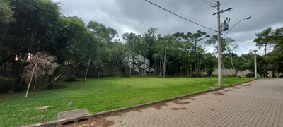 Terreno / Lote / Condomínio à venda, 416m² no São Lucas, Canela - Foto 4