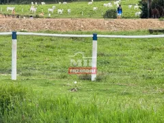 Fazenda / Sítio / Chácara à venda no Zona Rural, Vila Propício - Foto 9