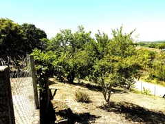 Fazenda / Sítio / Chácara com 3 Quartos à venda, 3000m² no Jardim Morada Alta, Jarinu - Foto 33
