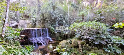 Fazenda / Sítio / Chácara com 4 Quartos para venda ou aluguel, 8115m² no Quebra Frascos, Teresópolis - Foto 8