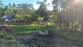 Fazenda / Sítio / Chácara com 2 Quartos à venda, 185m² no , Lavrinhas - Foto 65