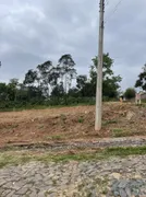 Terreno / Lote / Condomínio à venda, 290m² no Feitoria, São Leopoldo - Foto 4