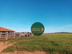 Fazenda / Sítio / Chácara à venda, 51546000m² no Zona Rural, Campos Belos - Foto 10