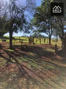 Fazenda / Sítio / Chácara com 3 Quartos à venda, 52600m² no , Santa Tereza do Oeste - Foto 10