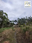 Fazenda / Sítio / Chácara com 3 Quartos à venda, 60500m² no Iguape, Iguape - Foto 21