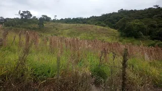 Fazenda / Sítio / Chácara à venda, 193600m² no Centro, São Miguel Arcanjo - Foto 7