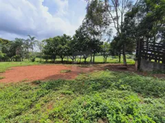Fazenda / Sítio / Chácara com 3 Quartos para alugar, 6000m² no Area Rural de Uberlandia, Uberlândia - Foto 52