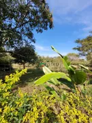 Fazenda / Sítio / Chácara à venda, 30000m² no Pinheirinho, Taubaté - Foto 23