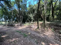 Terreno / Lote / Condomínio à venda, 22000m² no Sao Valentin, Bento Gonçalves - Foto 5