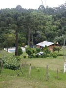 Fazenda / Sítio / Chácara com 4 Quartos à venda, 450m² no Fazenda Souza, Caxias do Sul - Foto 3
