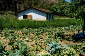 Fazenda / Sítio / Chácara com 4 Quartos à venda, 1016400m² no Providencia, Teresópolis - Foto 21