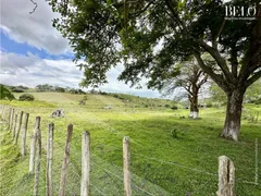 Fazenda / Sítio / Chácara à venda, 3800000m² no Zona Rural, Bonito - Foto 11