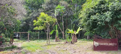 Fazenda / Sítio / Chácara com 3 Quartos à venda, 90m² no Zona Rural, José Bonifácio - Foto 26