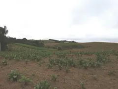 Fazenda / Sítio / Chácara com 1 Quarto à venda, 19400m² no Colônia Malhada, São José dos Pinhais - Foto 3