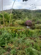 Fazenda / Sítio / Chácara com 3 Quartos à venda, 10000m² no Girassol, Cocalzinho de Goiás - Foto 21