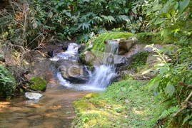 Fazenda / Sítio / Chácara com 5 Quartos à venda, 120000m² no Araras, Petrópolis - Foto 5