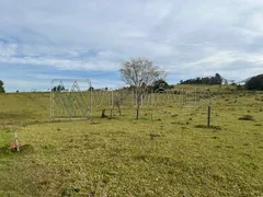 Terreno / Lote / Condomínio à venda, 99446m² no Quatro Colonias, Campo Bom - Foto 7