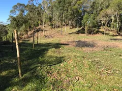 Terreno / Lote / Condomínio à venda, 240000m² no Rio do Ouro, Anitápolis - Foto 17