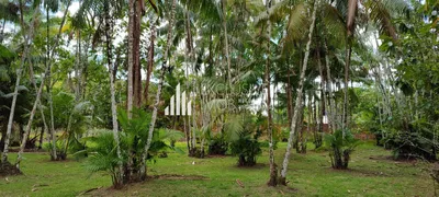 Fazenda / Sítio / Chácara com 2 Quartos à venda, 10000m² no Espirito Santo do Taua, Santo Antônio do Tauá - Foto 10