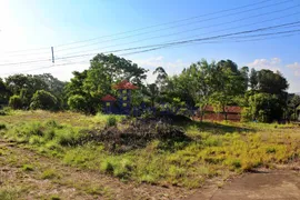 Terreno / Lote / Condomínio à venda, 12000m² no Setor de Mansoes Dom Bosco, Brasília - Foto 3