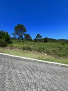 Terreno / Lote / Condomínio à venda, 460m² no Itacorubi, Florianópolis - Foto 4