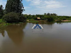 Fazenda / Sítio / Chácara à venda, 15m² no Zona Rural, Jataizinho - Foto 21