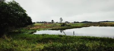 Fazenda / Sítio / Chácara à venda, 6500m² no Cachoeira, São José dos Pinhais - Foto 20