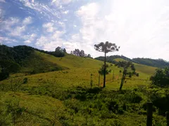 Fazenda / Sítio / Chácara à venda, 30000m² no Centro, São Luiz do Paraitinga - Foto 12