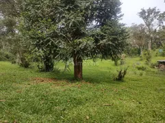 Terreno / Lote / Condomínio à venda, 9675m² no , Campo Alegre - Foto 4