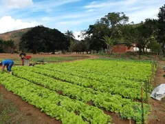 Fazenda / Sítio / Chácara com 2 Quartos à venda, 343m² no , Paraíba do Sul - Foto 2