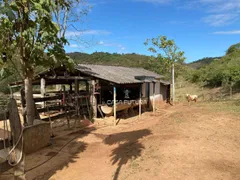 Fazenda / Sítio / Chácara com 2 Quartos à venda, 60m² no Santa Isabel do Rio Preto, Valença - Foto 9