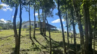 Fazenda / Sítio / Chácara com 3 Quartos à venda, 180m² no Centro, Bocaiúva do Sul - Foto 11