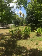 Fazenda / Sítio / Chácara com 3 Quartos à venda, 50500m² no Guabiraba, Recife - Foto 10