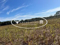 Fazenda / Sítio / Chácara à venda no Zona Rural, Bom Jardim de Goiás - Foto 4