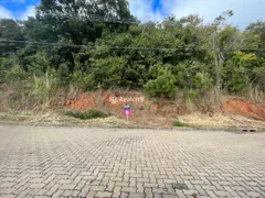 Terreno / Lote / Condomínio à venda, 254m² no Santo Antão, Bento Gonçalves - Foto 6