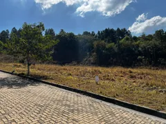 Terreno / Lote / Condomínio à venda, 2000m² no Centro, Tiradentes - Foto 3