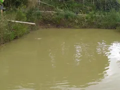 Fazenda / Sítio / Chácara com 3 Quartos à venda, 3000m² no Zona Rural, Campina Grande do Sul - Foto 20