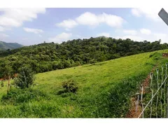 Fazenda / Sítio / Chácara com 4 Quartos à venda, 288m² no Sao Joao Novo, São Roque - Foto 18