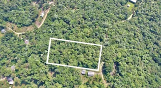 Fazenda / Sítio / Chácara à venda, 10000m² no Borda do Campo, São José dos Pinhais - Foto 14