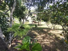 Fazenda / Sítio / Chácara com 3 Quartos à venda, 200m² no Mantiquira, Duque de Caxias - Foto 17