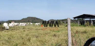 Fazenda / Sítio / Chácara à venda, 18246800m² no , Campos Lindos - Foto 17