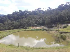 Fazenda / Sítio / Chácara com 4 Quartos à venda, 210000m² no Santa Terezinha, São Luiz do Paraitinga - Foto 7