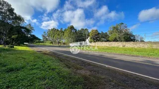 Fazenda / Sítio / Chácara com 1 Quarto à venda, 60m² no Chácaras Cruzeiro do Sul, Santa Bárbara D'Oeste - Foto 3