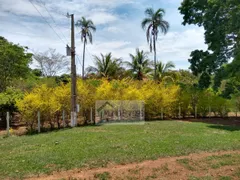 Fazenda / Sítio / Chácara com 4 Quartos à venda, 75000m² no Zona Rural, Bonfinópolis - Foto 53