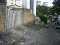 Terreno / Lote / Condomínio à venda, 352m² no Nova Floresta, Belo Horizonte - Foto 1