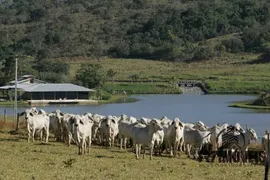 Fazenda / Sítio / Chácara com 7 Quartos à venda, 320m² no Zona Rural, Bela Vista de Goiás - Foto 2